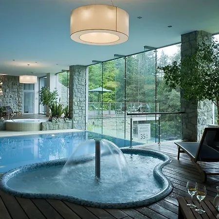 Hotel Dr Irena Eris Zdrój Krynica-Zdrój