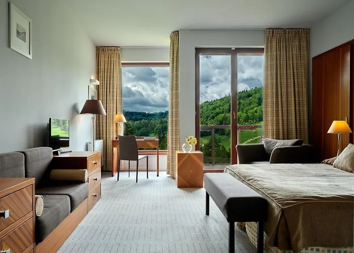 Hotel Dr Irena Eris 4*